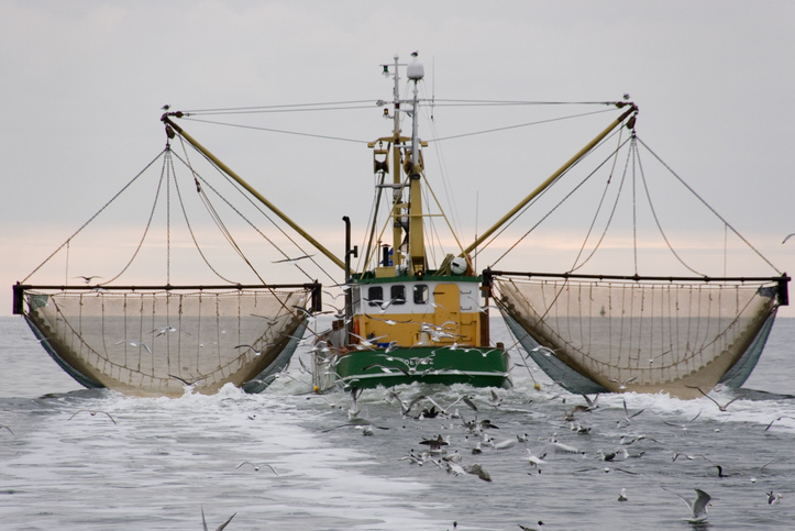 A commercial fishing vessel in the port of Galveeston.